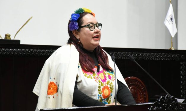 Consulta taurina contradice a Morena: Tania Meza