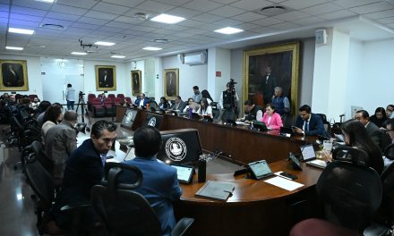 Kate del Castillo agita debate legislativo en el Congreso de Hidalgo