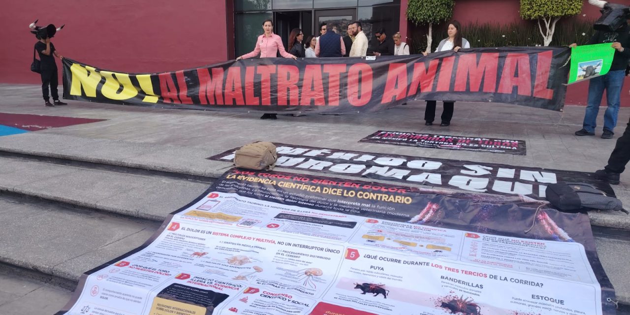 Activistas rechazan consulta sobre corridas de toros