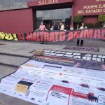 Activistas rechazan consulta sobre corridas de toros