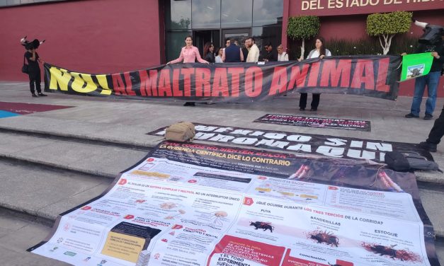 Activistas rechazan consulta sobre corridas de toros