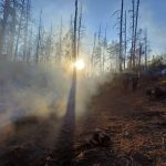 Destinan 10 mdp para sanear el Parque Nacional El Chico