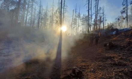 Destinan 10 mdp para sanear el Parque Nacional El Chico