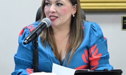 Buscan regular 4 mil alojamientos por aplicación