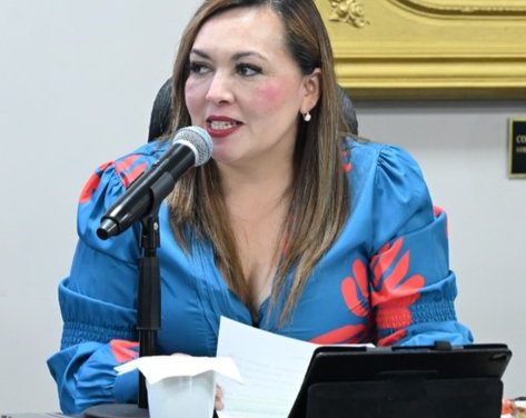 Buscan regular 4 mil alojamientos por aplicación