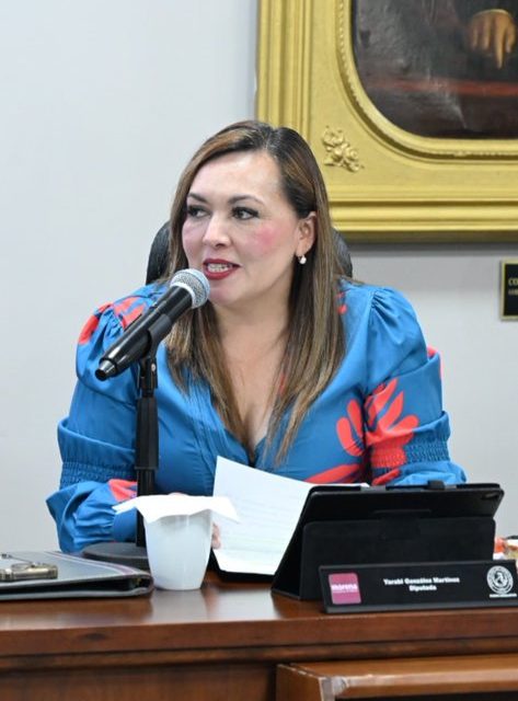 Buscan regular 4 mil alojamientos por aplicación