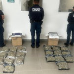 Interceptan marihuana enviada por paquetería a la CDMX
