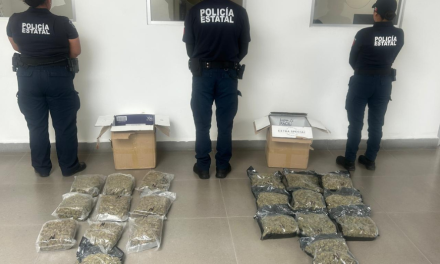 Interceptan marihuana enviada por paquetería a la CDMX
