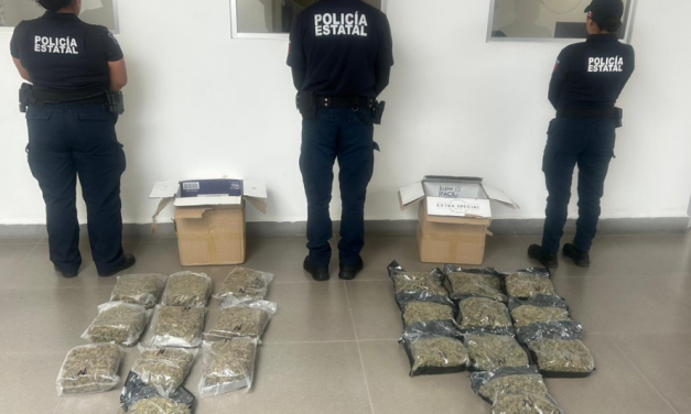 Interceptan marihuana enviada por paquetería a la CDMX