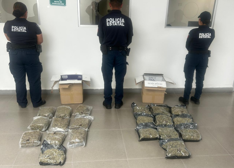 Interceptan marihuana enviada por paquetería a la CDMX