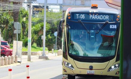 Servicio del Metropolitano divide opiniones