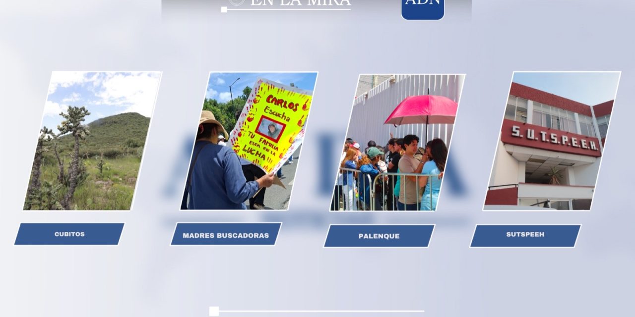 En la mira