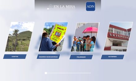 En la mira
