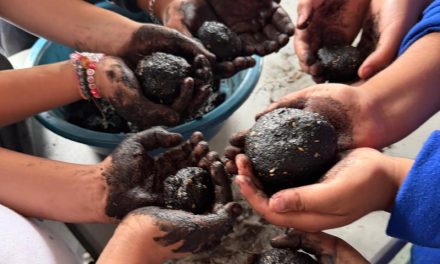 Promueven la educación ambiental con «bombas de vida»
