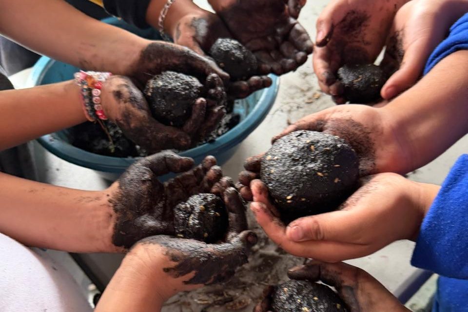 Promueven la educación ambiental con «bombas de vida»