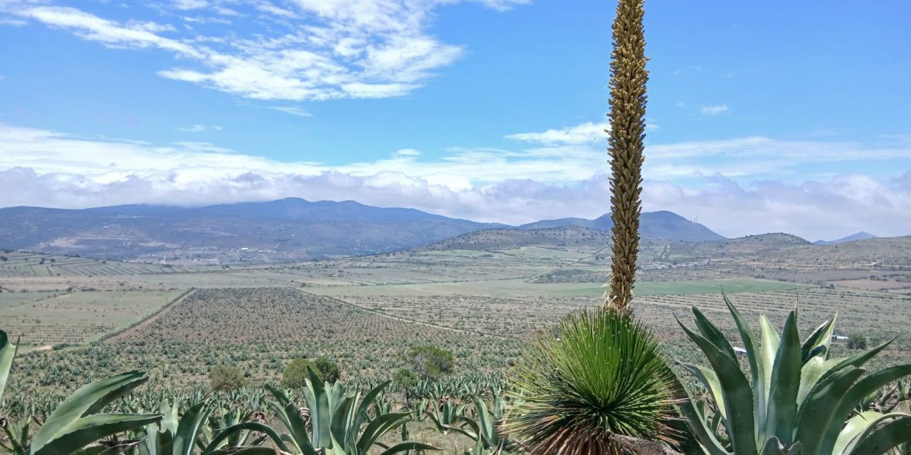 La defensa del Altiplano continúa: ambientalistas