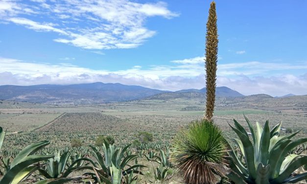 La defensa del Altiplano continúa: ambientalistas