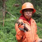 Plantan 3 mil 500 árboles en bosque de El Chico