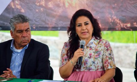 Semarnath rechaza falta de socialización en proyectos fotovoltaicos