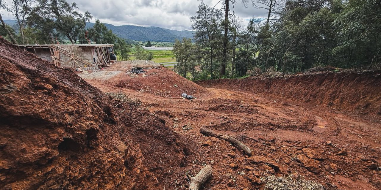 Profepa frena daño forestal en El Susto
