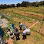 Entra en operación planta comunitaria de tratamiento en Tulancingo