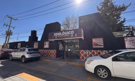 Desechan proyecto para zoológico de Tulancingo