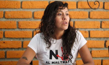 Jauría de Balú señala rezago en denuncias por maltrato animal