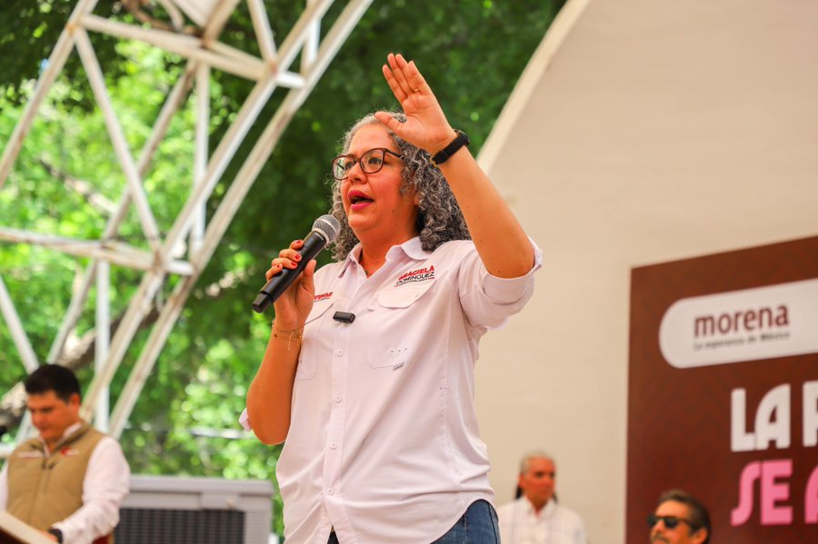 Graciela Domínguez es gobernadora interina de Sinaloa