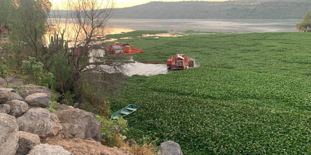 Mixtega contradice a Tepetitlán: asegura que sí operan trituradoras en Endhó