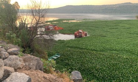 Mixtega contradice a Tepetitlán: asegura que sí operan trituradoras en Endhó