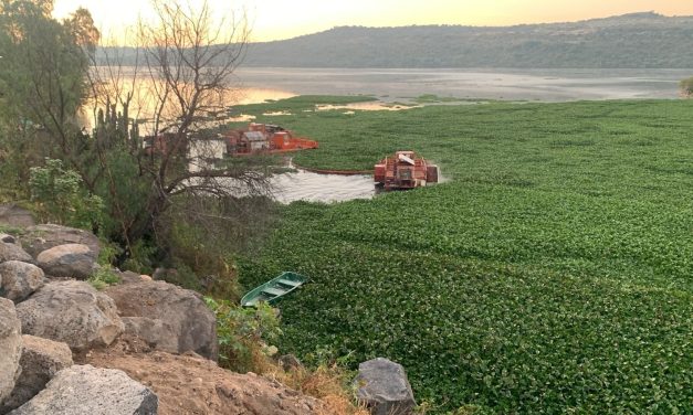 Mixtega contradice a Tepetitlán: asegura que sí operan trituradoras en Endhó