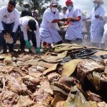 Actopan cocinó más de 100 borregos en el horno más grande de México