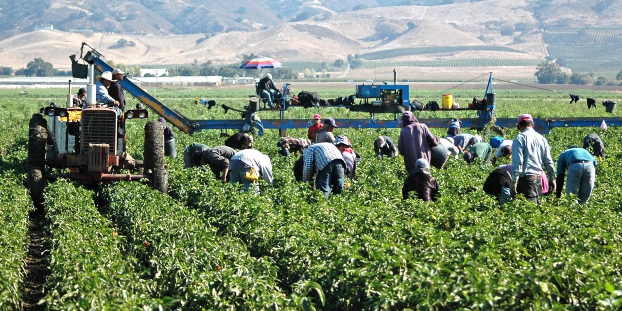 Crecen 500% fraudes por ofertas de trabajo