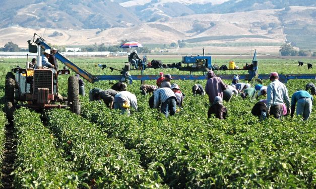 Crecen 500% fraudes por ofertas de trabajo