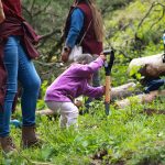 Hidalgo plantará 2 millones de árboles para reforestación