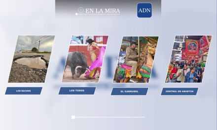 En la mira
