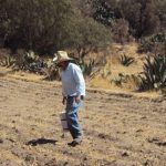 Sequía comienza a resentirse en más de 30 municipios
