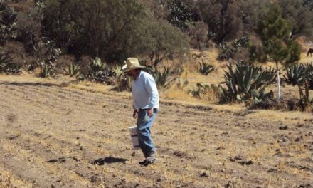 Sequía comienza a resentirse en más de 30 municipios