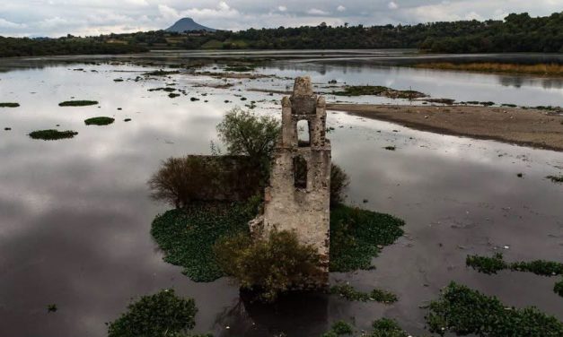 Tepetitlán acusa falta de avances contra mosco cúlex