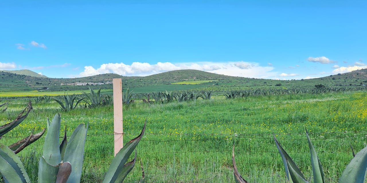 Gobierno federal frena proyecto solar en Singuilucan y Epazoyucan