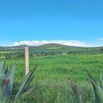 Gobierno federal frena proyecto solar en Singuilucan y Epazoyucan