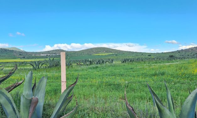 Gobierno federal frena proyecto solar en Singuilucan y Epazoyucan