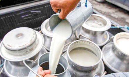 Vigilan venta de lácteos de dudosa procedencia en Tulancingo