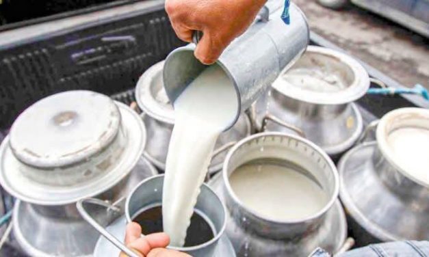 Vigilan venta de lácteos de dudosa procedencia en Tulancingo