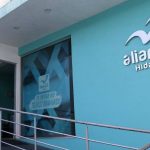 Nueva Alianza busca llegar a San Lázaro mediante acuerdos con Morena