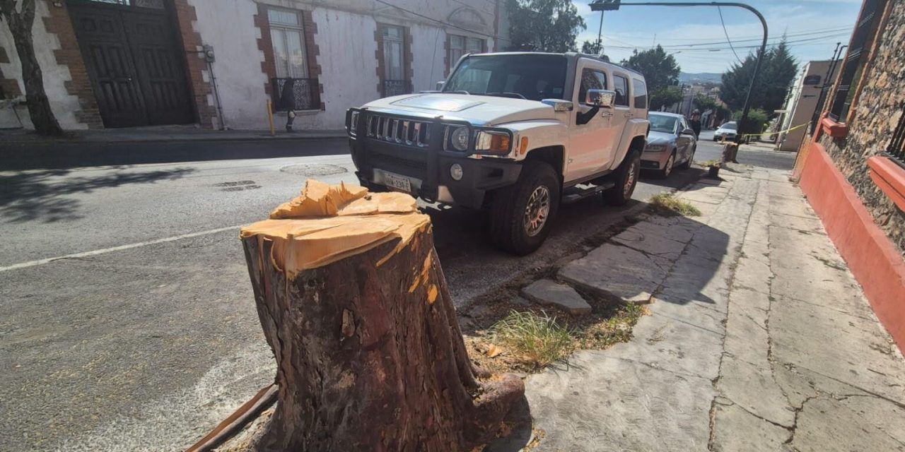 Pachuca y La Reforma reportan derribe de más de 3 mil árboles