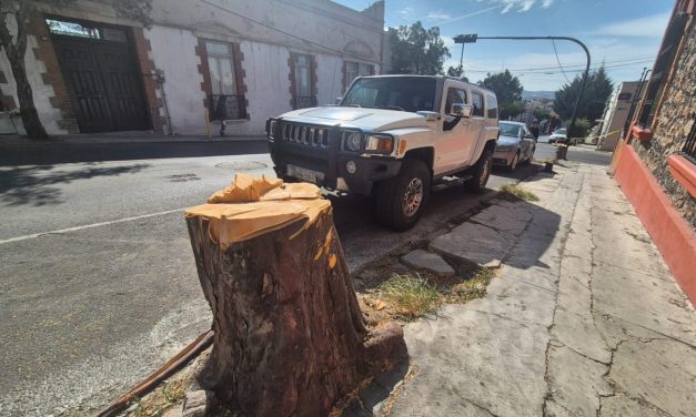 Pachuca y La Reforma reportan derribe de más de 3 mil árboles