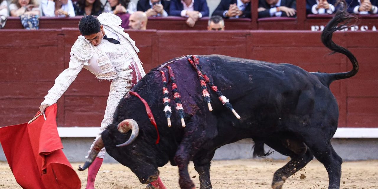 Cultura respalda corridas de toros sin sangre