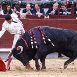 Cultura respalda corridas de toros sin sangre
