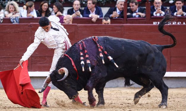 Cultura respalda corridas de toros sin sangre